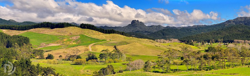 Coromandel inland pano