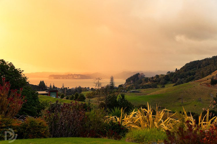 Mercury Bay sunrise